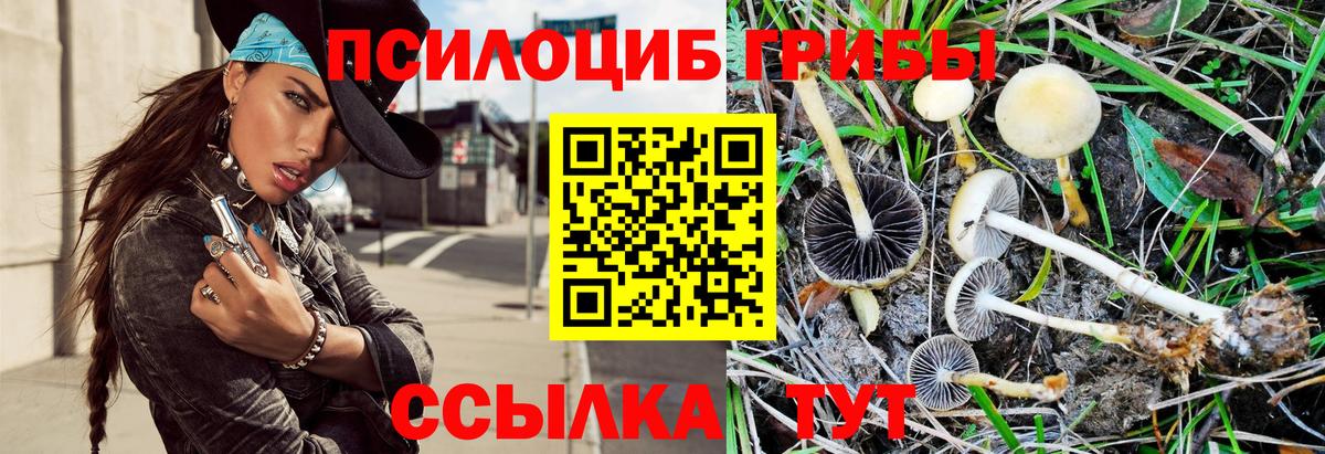 Галлюциногенные грибы прущие грибы  Вход с VPN  Тосно 