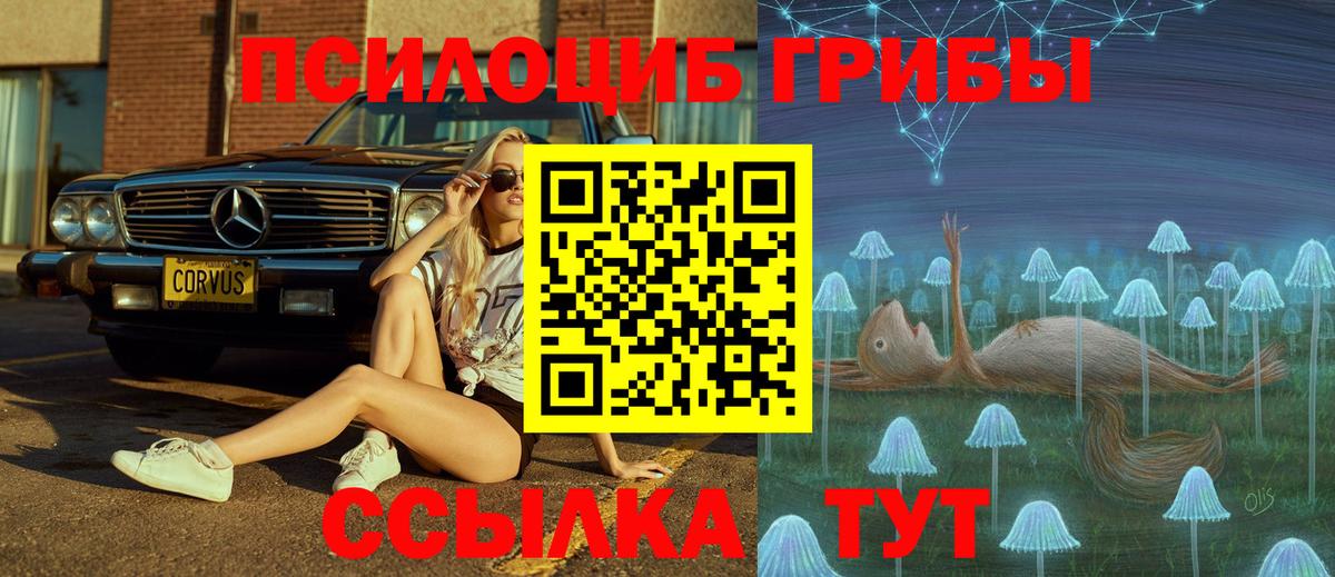 Псилоцибиновые грибы ЛСД Тосно